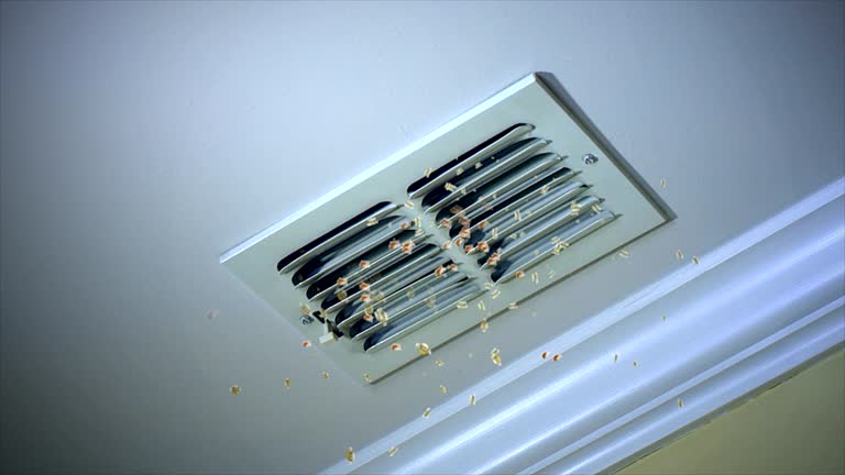 Best Home Air Vent Cleaning  in Flora, IN