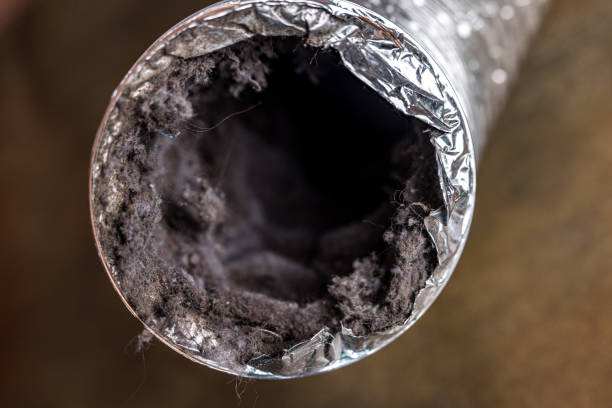 Best HVAC System Cleaning  in Flora, IN